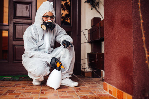 Reliable Ant Control contractor in Youngsville, LA by Show Me Pest Control